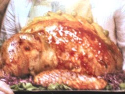 pavo